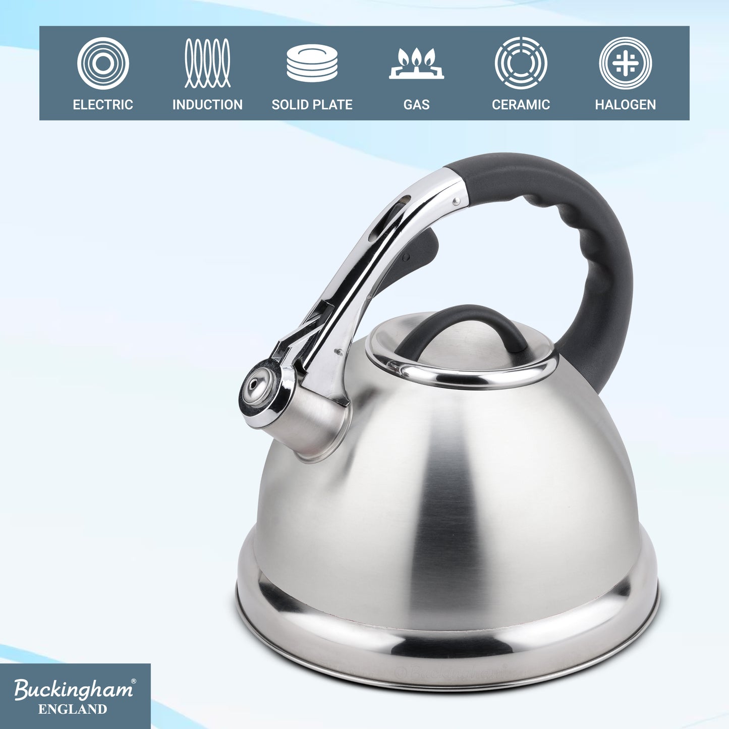 Stainless Steel Whistling Kettle