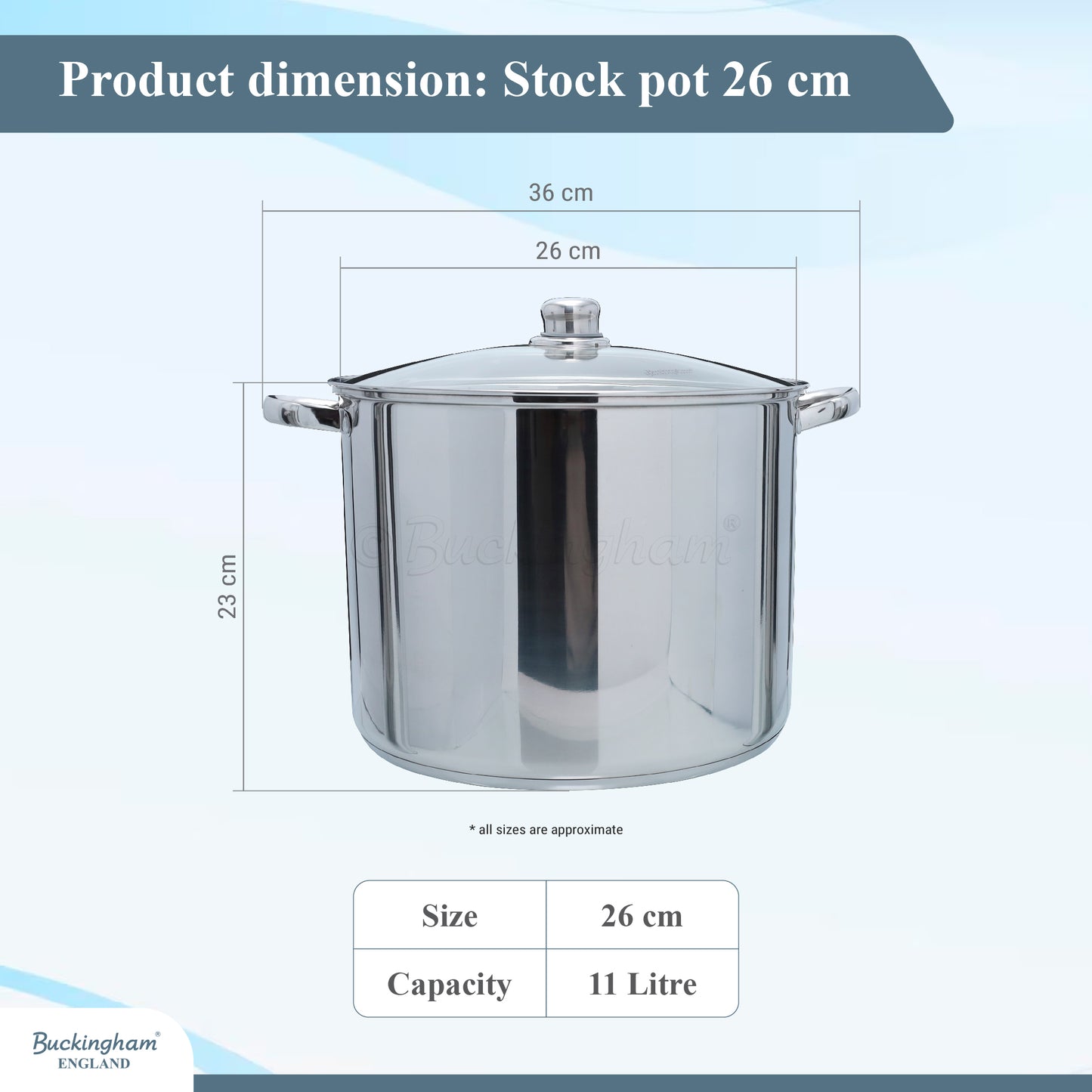 Buckingham Induction Stainless Steel Stock Pot  with Glass Lid 26 cm / 11 litres Silver