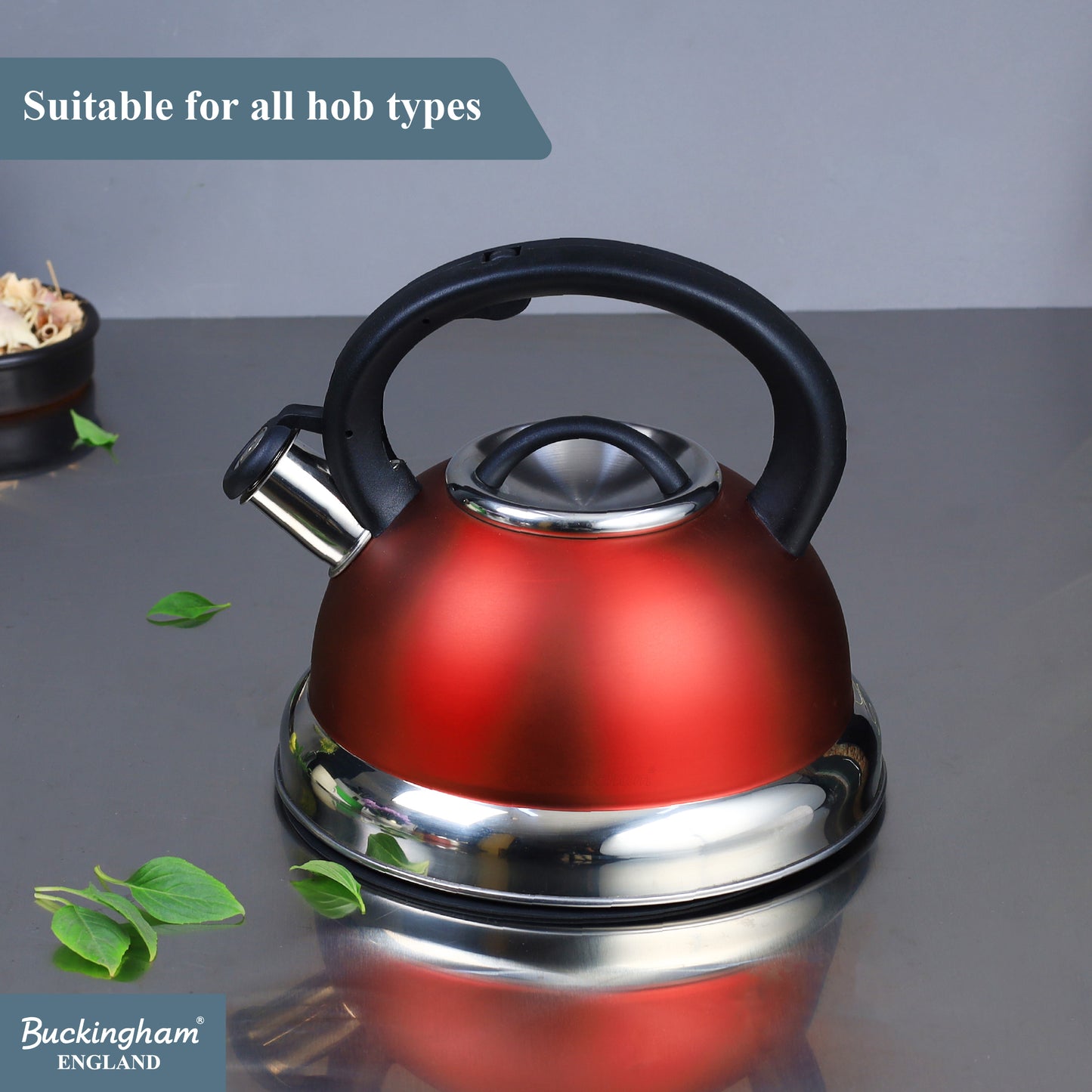 Buckingham Stainless Steel Stovetop Kettle Easy Grip Handle 3 Litre