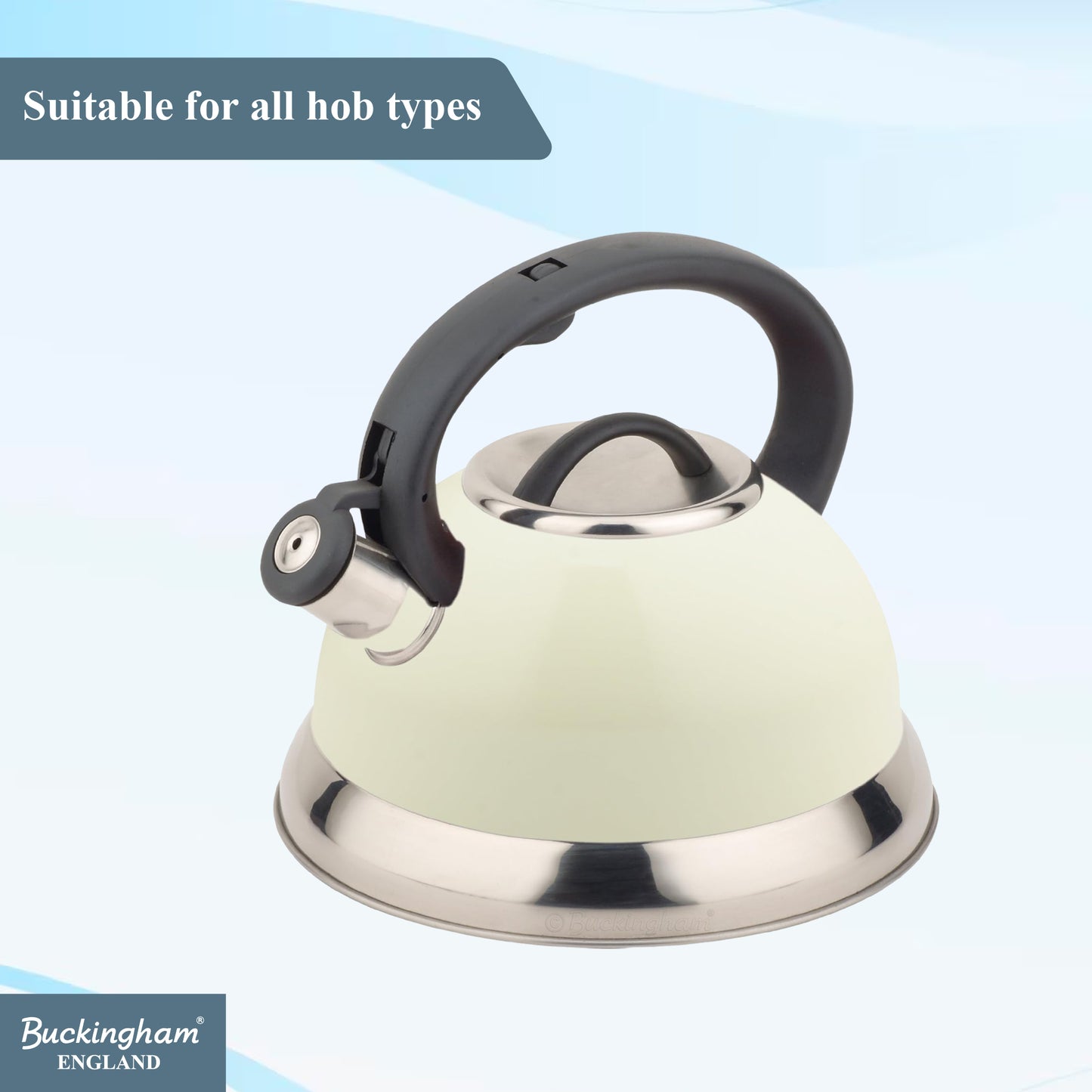 Buckingham Stainless Steel Stovetop Kettle Easy Grip Handle 3 Litre