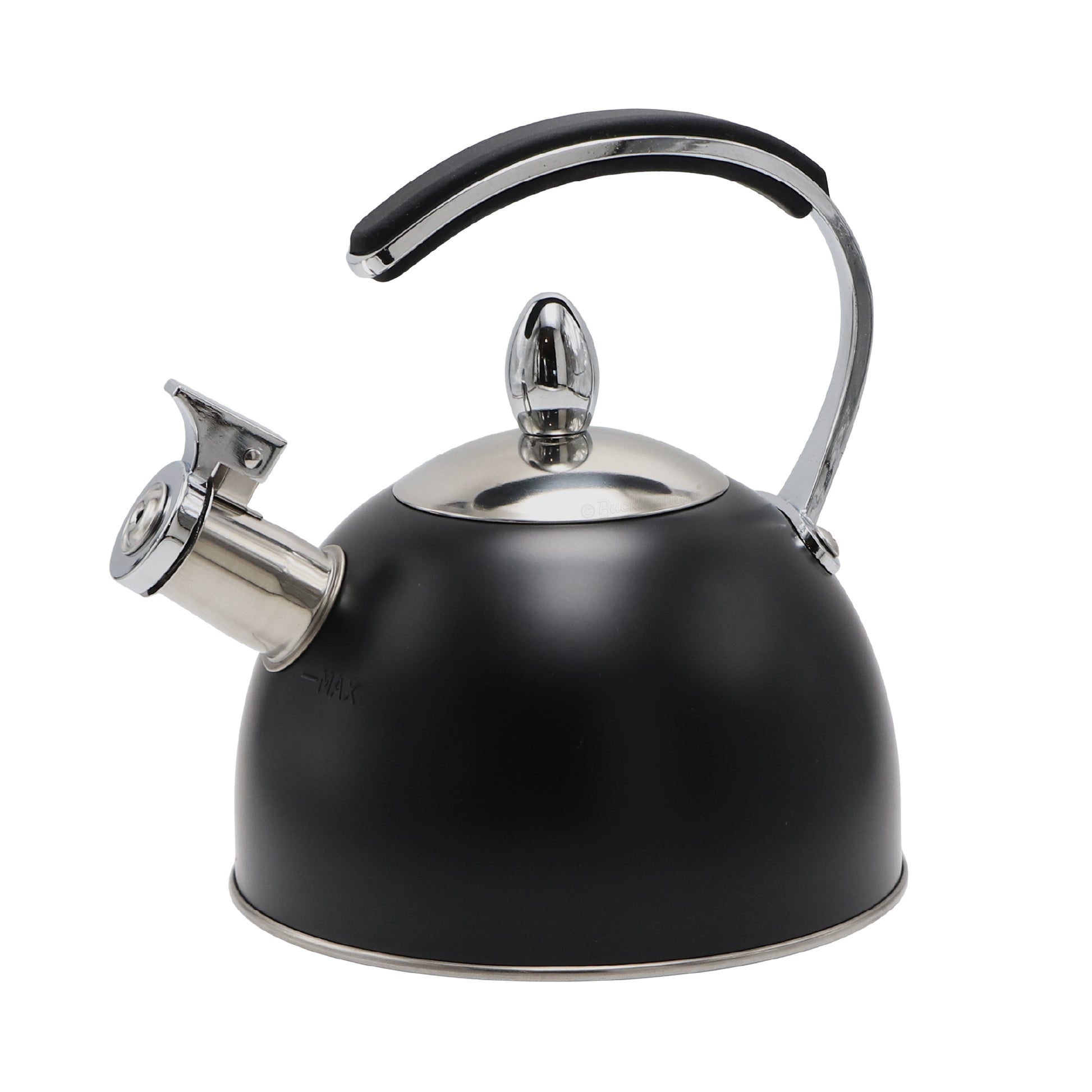 Stove Top Kettle
