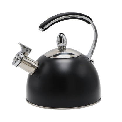 Stove Top Kettle
