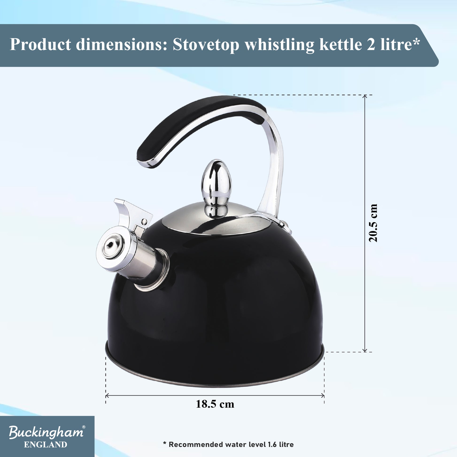 Stove Top Kettle 