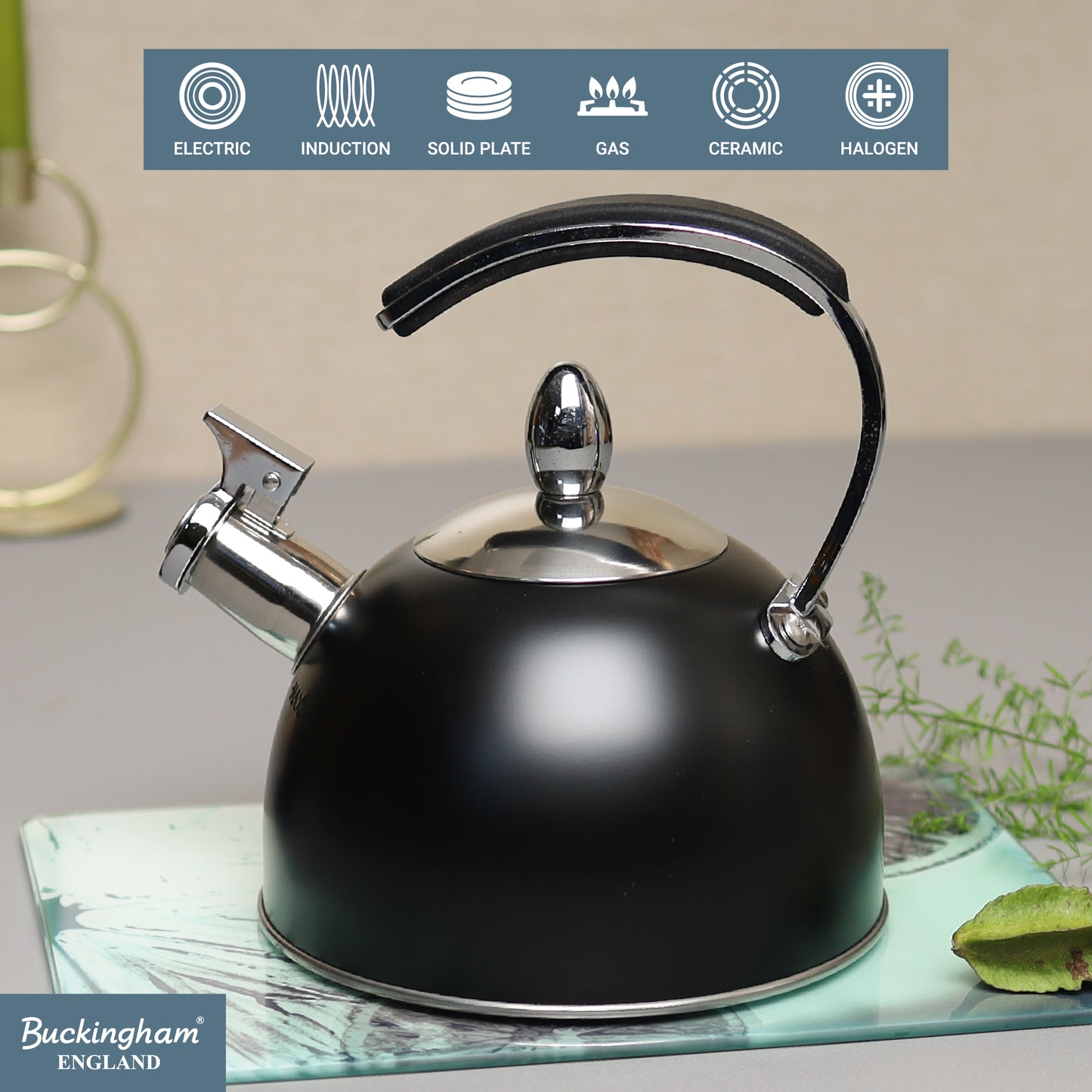 Stove Top Kettle 