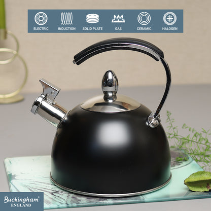 Stove Top Kettle 