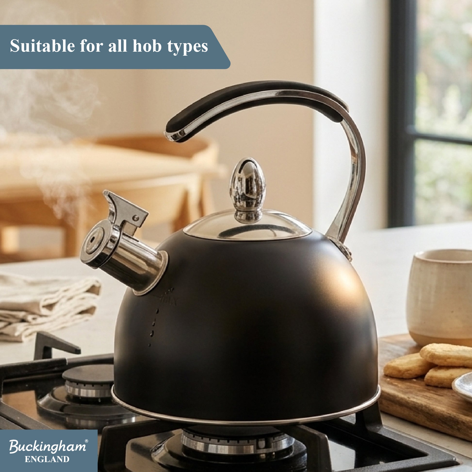 Stove Top Kettle 