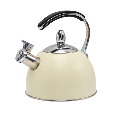 Stove Top Kettle 