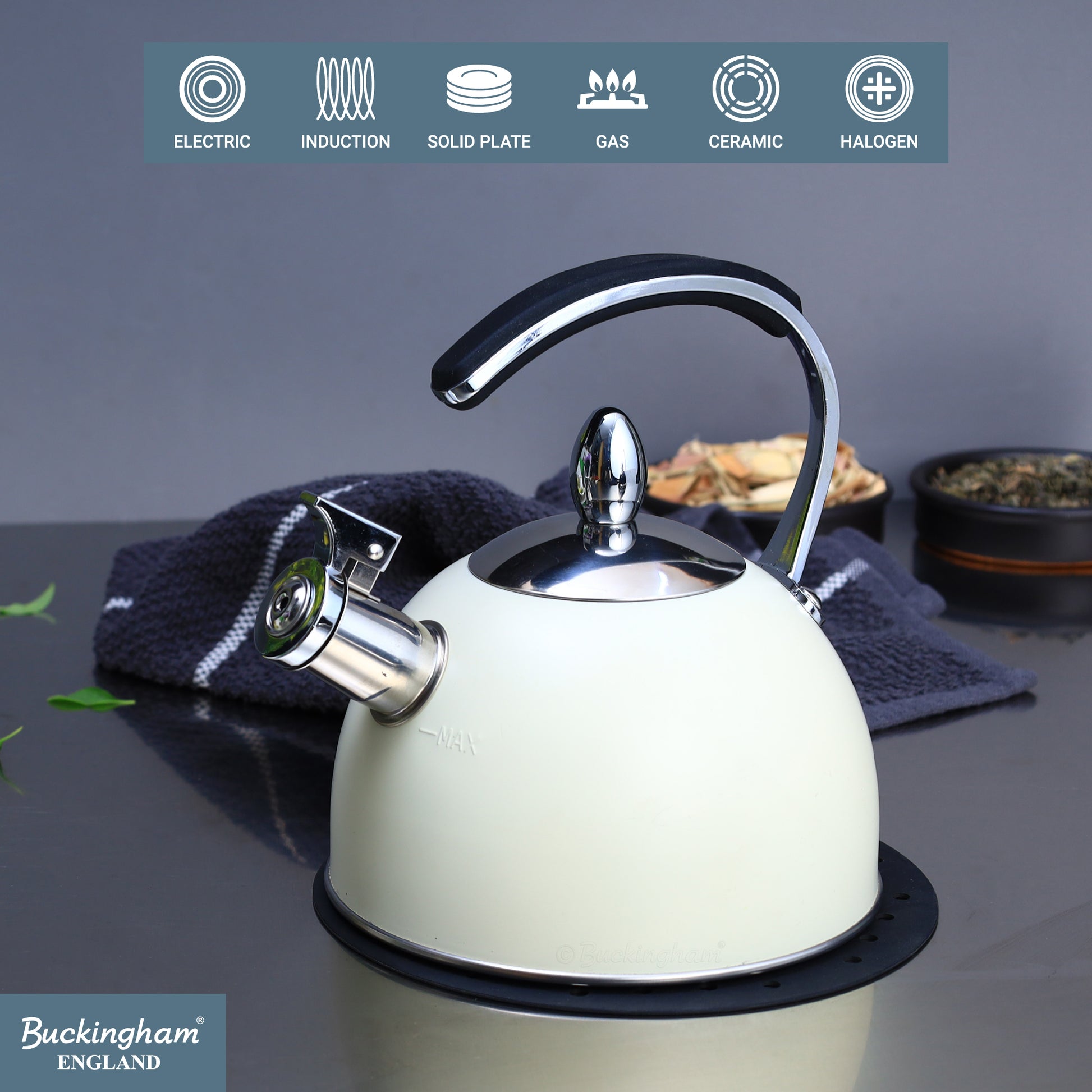 Stove Top Kettle 