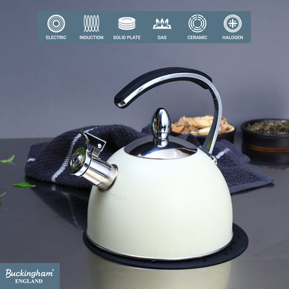 Stove Top Kettle 