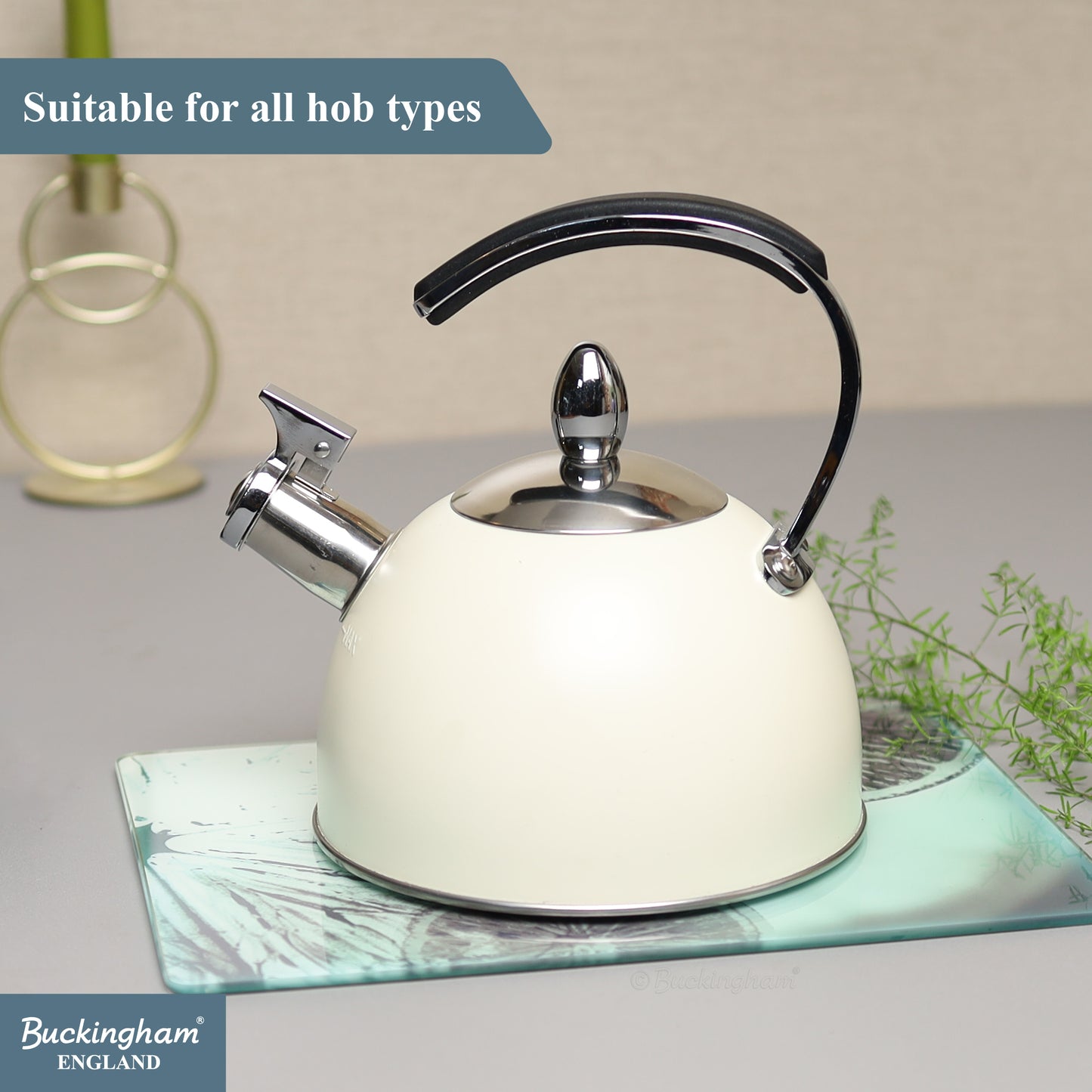 Buckingham Stainless Steel Stovetop Whistling Kettle with Soft Touch Silicon Handle 2 Litre