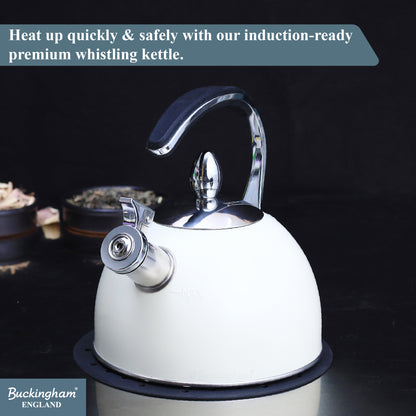 Stove Top Kettle 