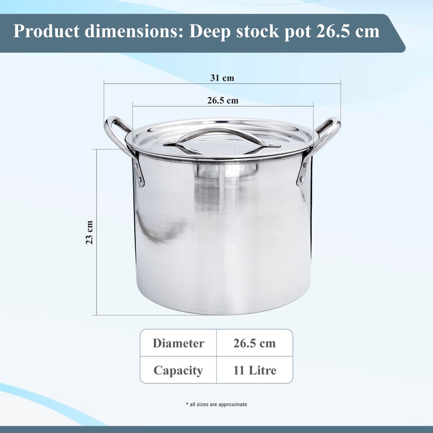 Buckingham Stainless Steel Stock Pot