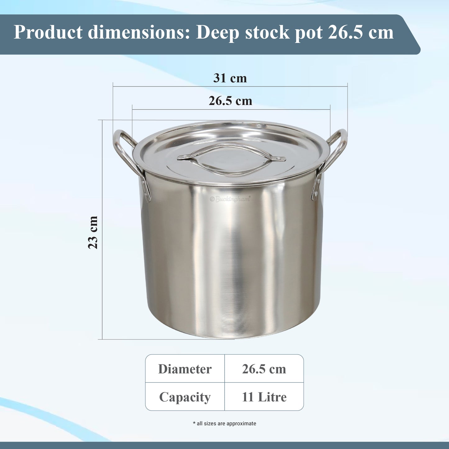 Buckingham Stainless Steel Stock Pot
