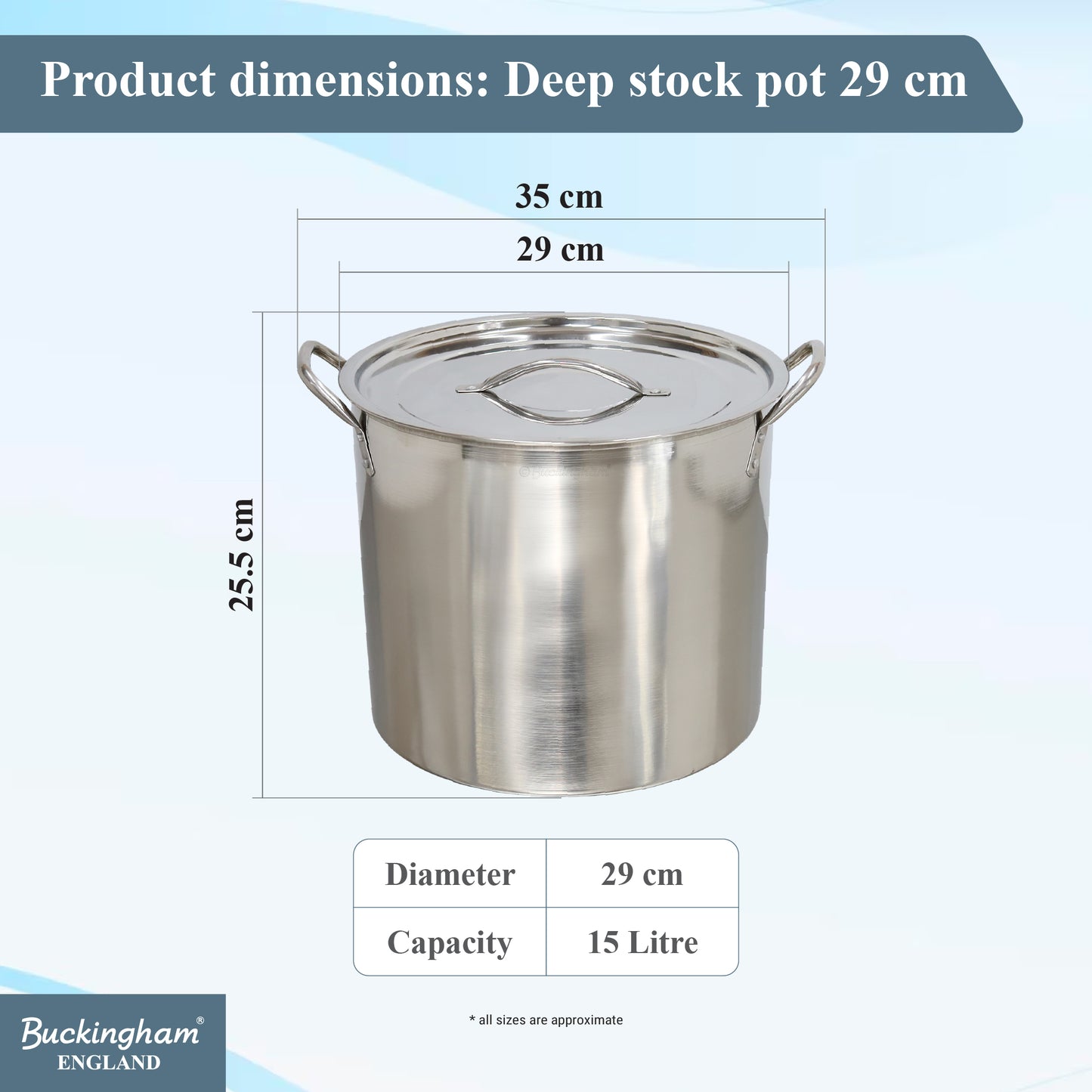 Buckingham Stainless Steel Stock Pot