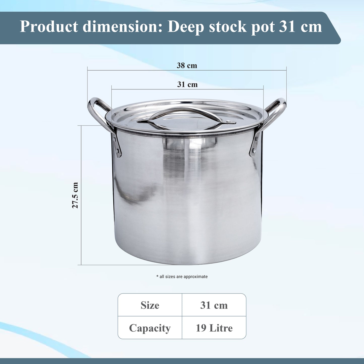 Buckingham Stainless Steel Stock Pot