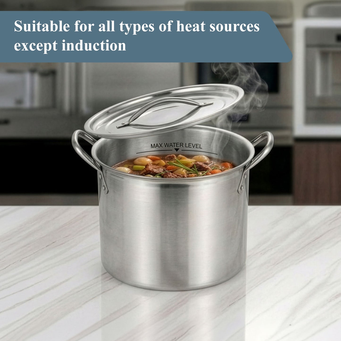 Buckingham Stainless Steel Stock Pot
