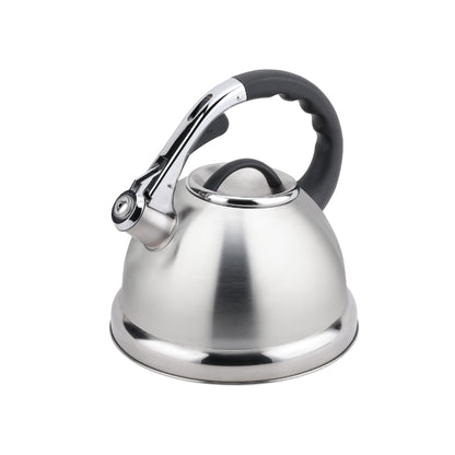 Stainless Steel Whistling Kettle