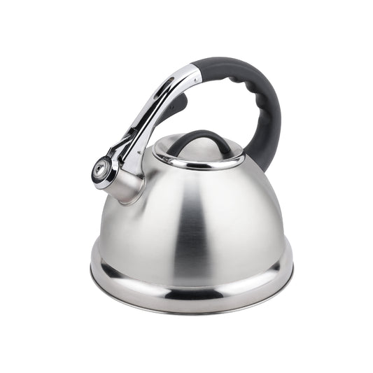 Stainless Steel Whistling Kettle