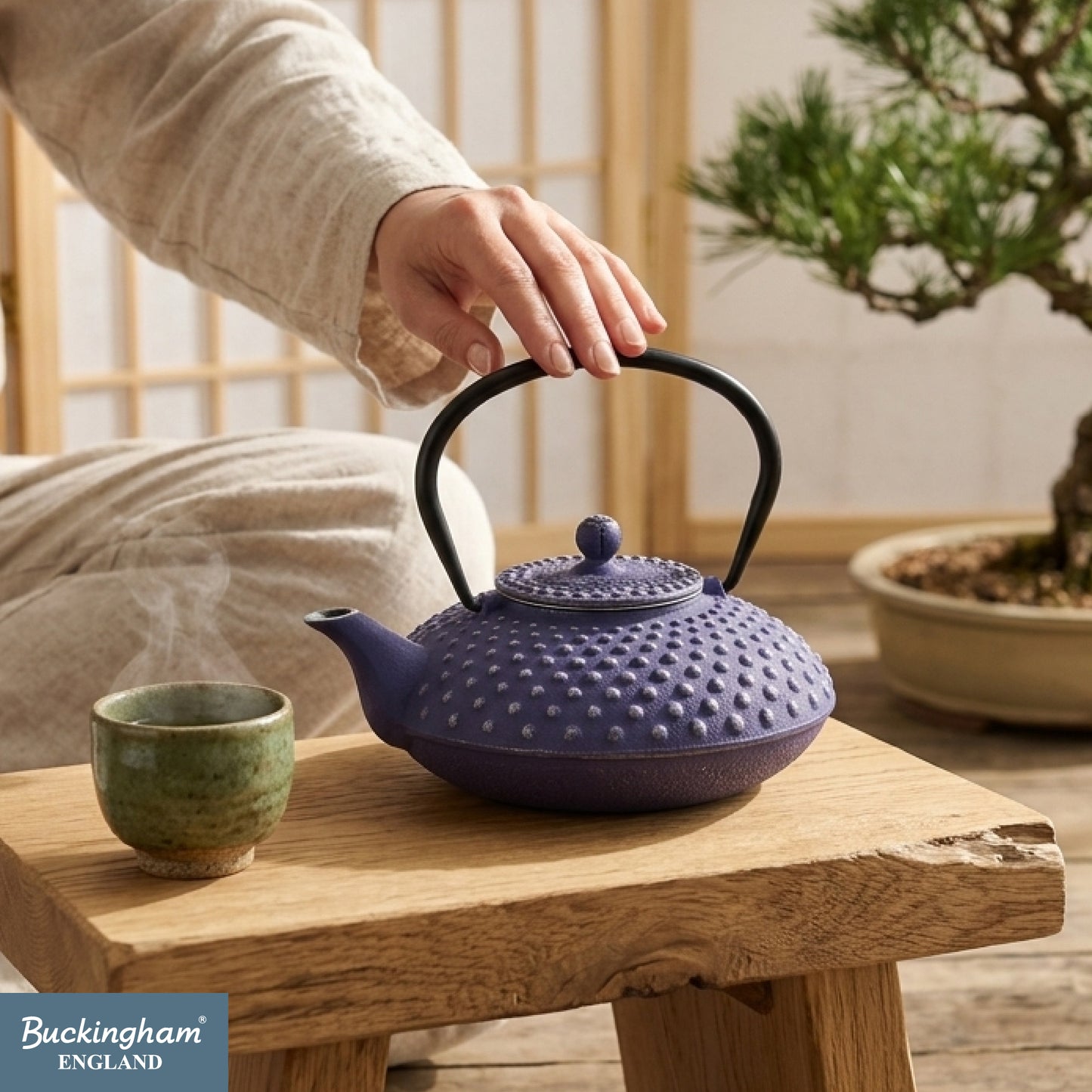 Buckingham Cast Iron Japanese Tea Pot with Traditional Pimple Design 800 ml