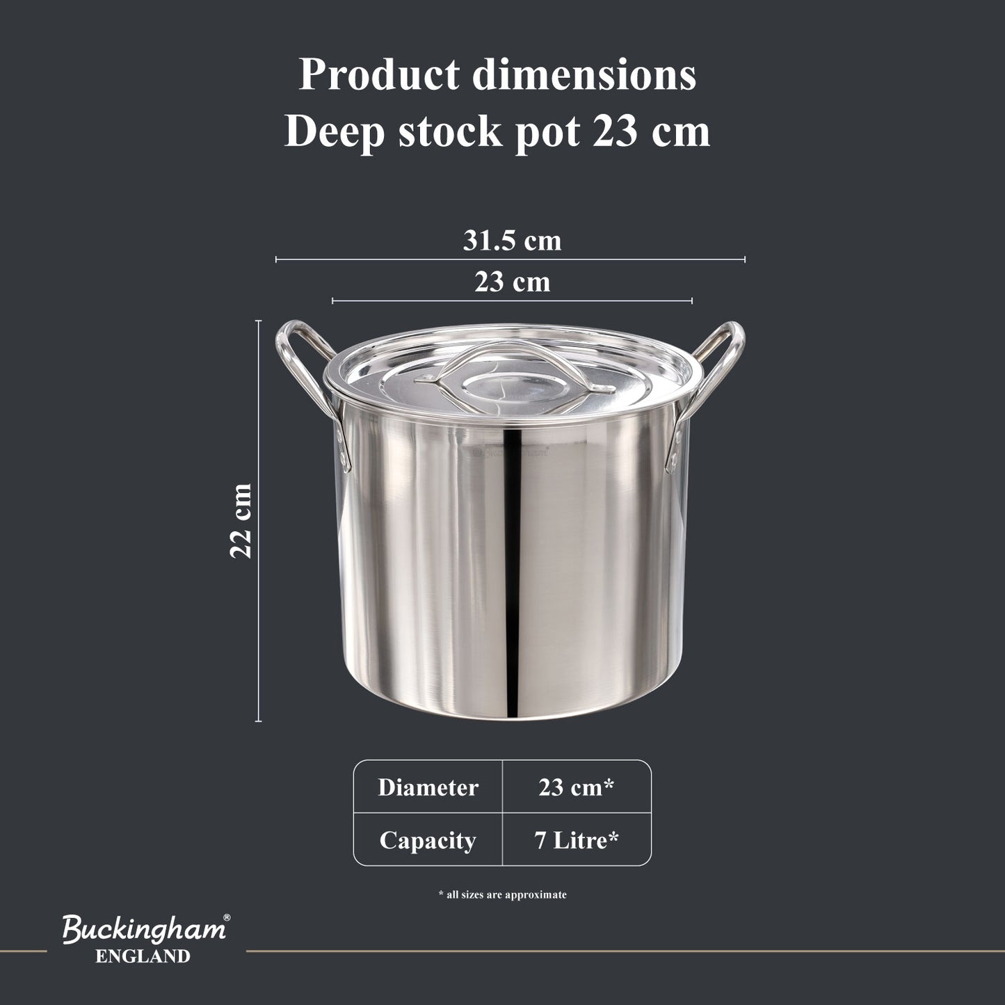 Buckingham Stainless Steel Stock Pot