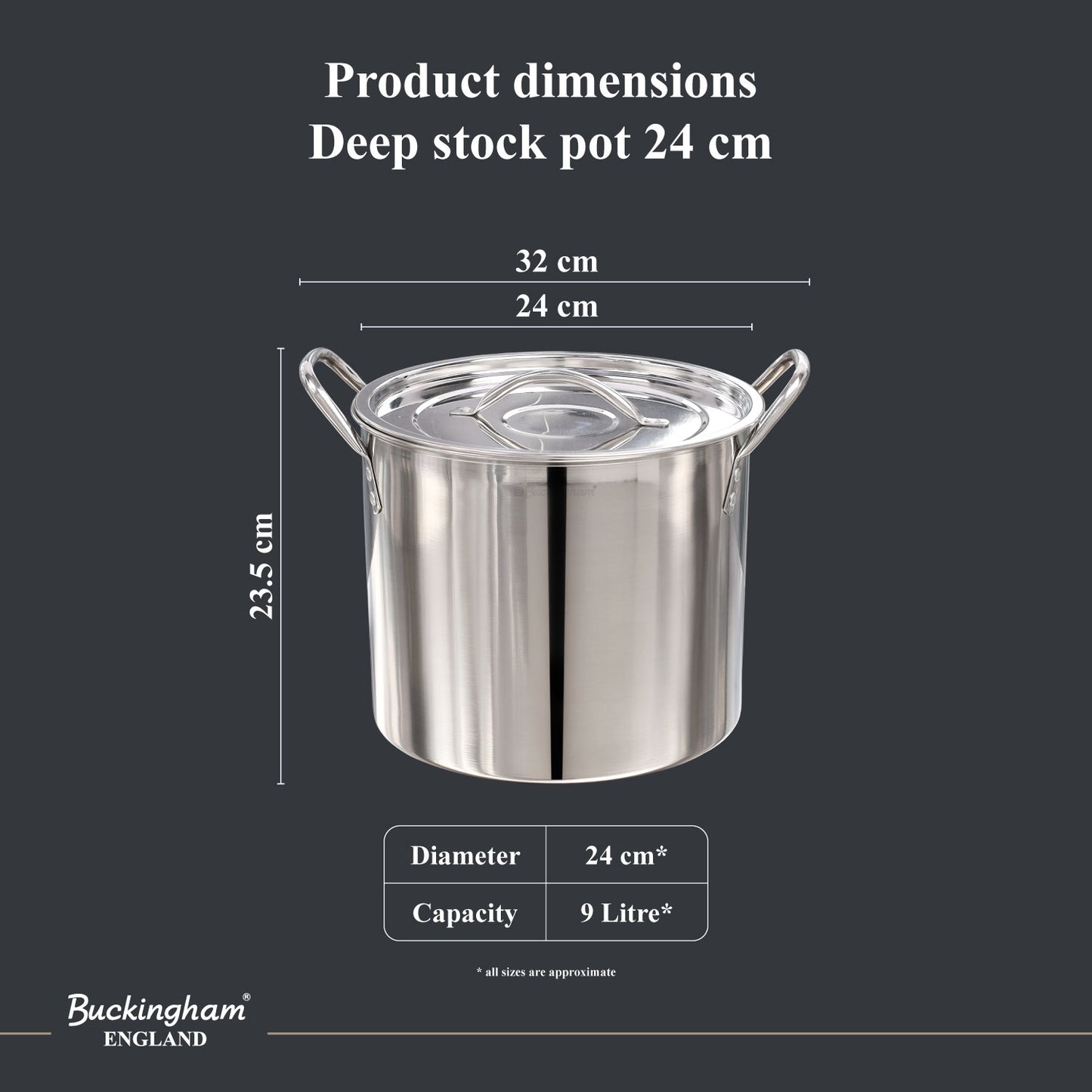 Buckingham Stainless Steel Stock Pot