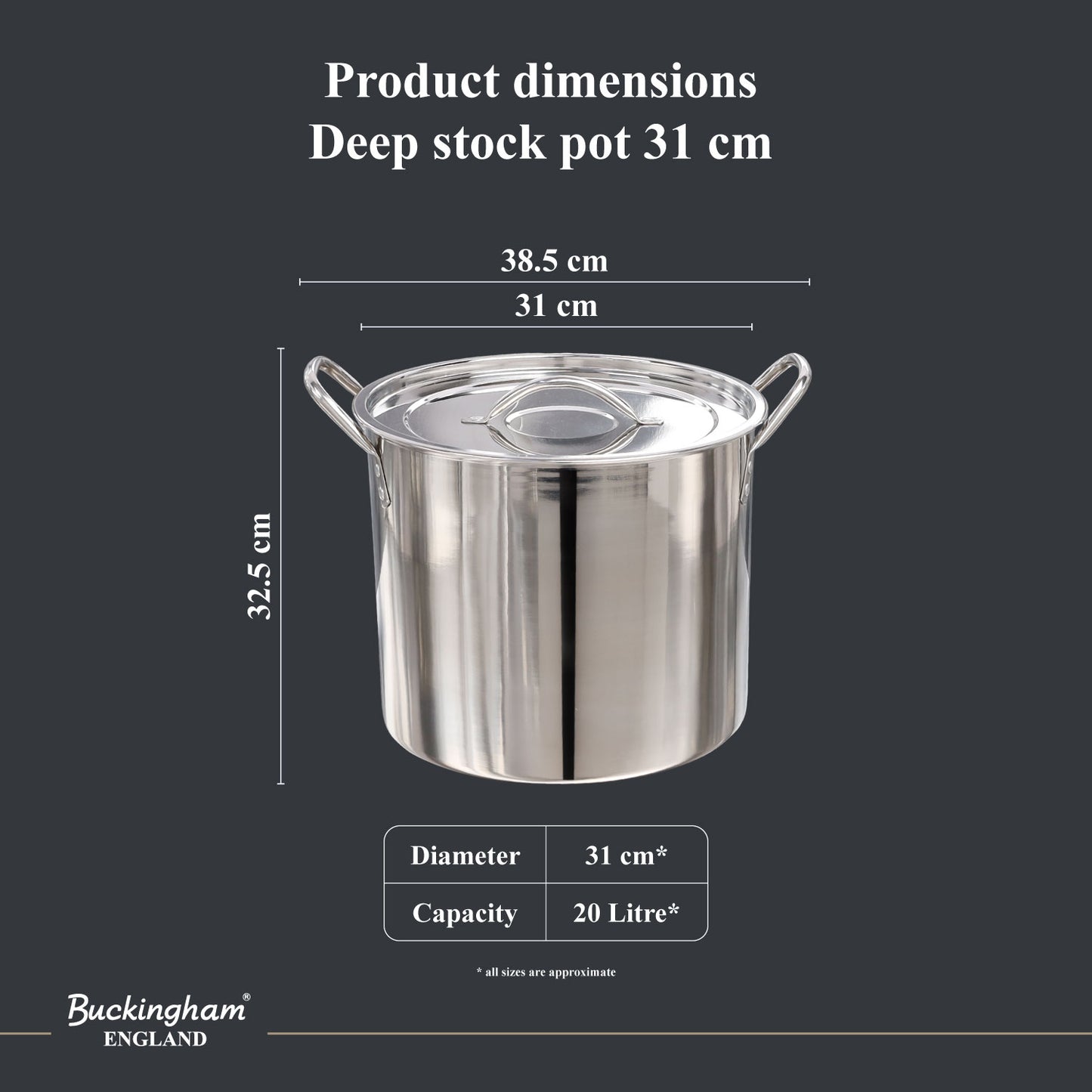 Buckingham Stainless Steel Stock Pot