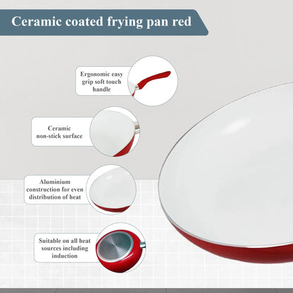 Buckingham Premium Frying Pan 24 cm