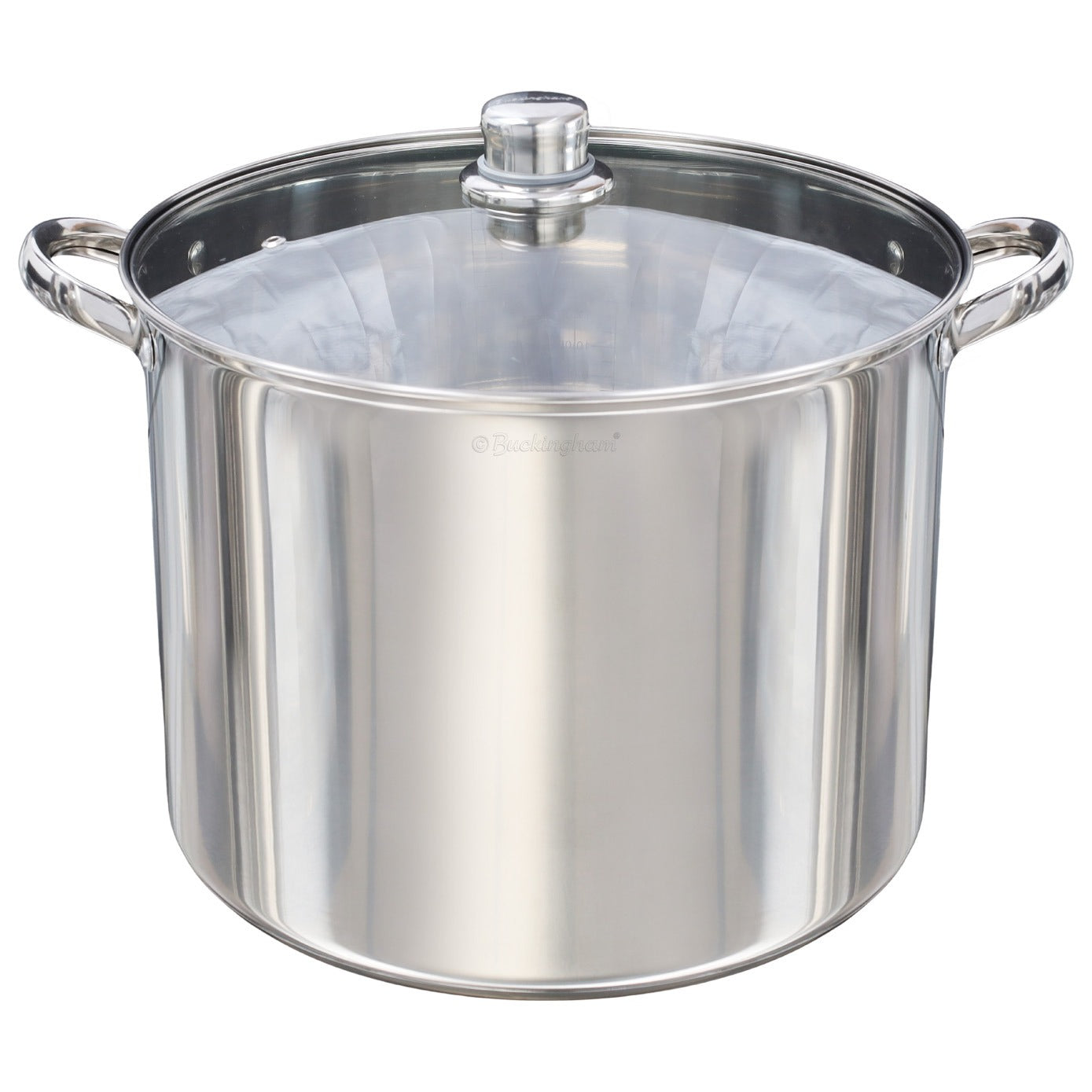 Buckingham Premium Stainless Steel Stock Pot with Glass Lid