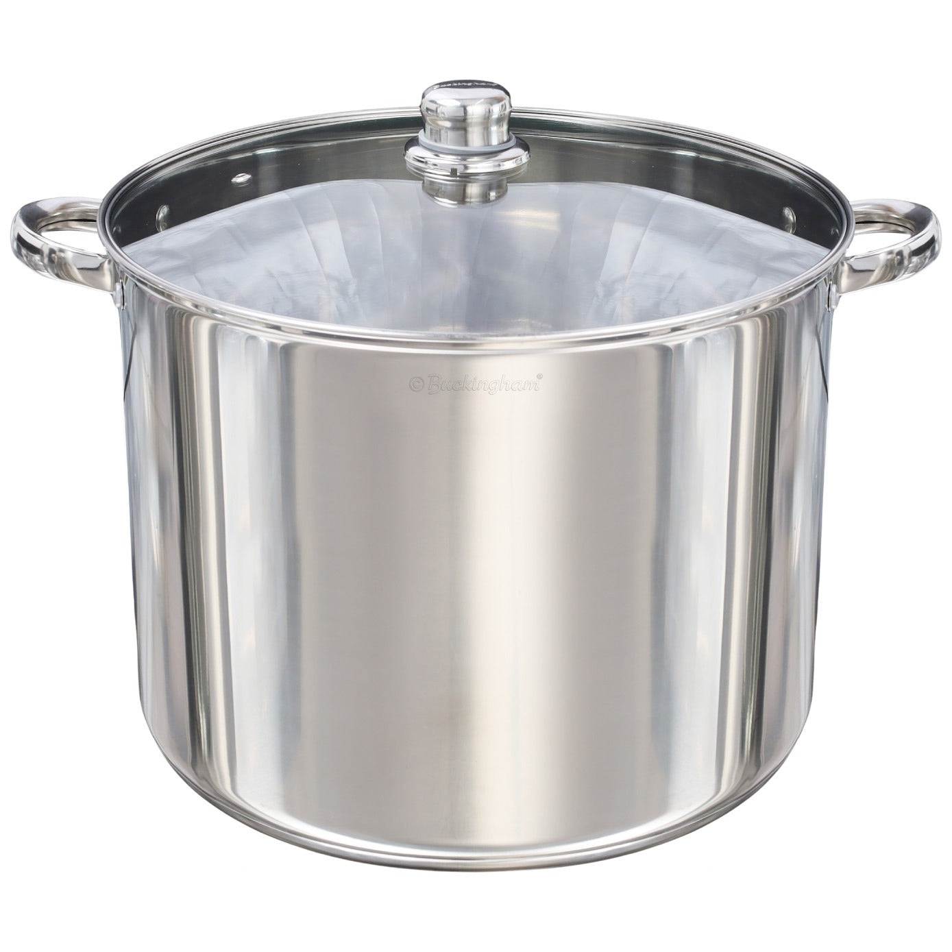 Buckingham Premium Stainless Steel Stock Pot with Glass Lid